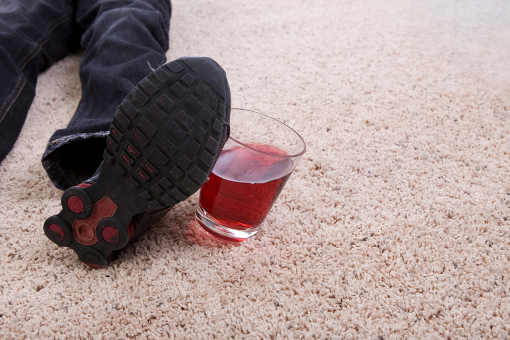 Specialized carpet treatment application for deep cleaning and stain protection.